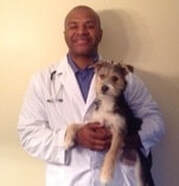 About Us - WELL PET ANIMAL HOSPITAL